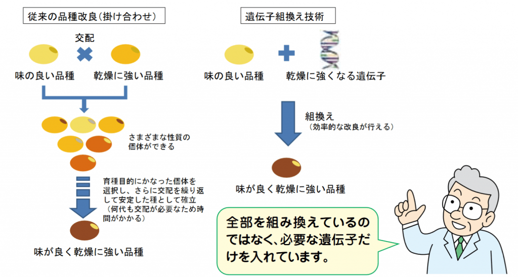 遺伝子組み換えの現状と懸念点｜今後の市場動向 女性ヘルスケアマーケティングのウーマンズラボ
