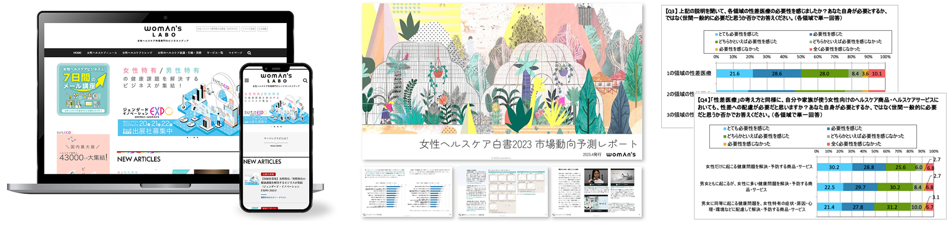 女性ヘルスケア業界の分析png