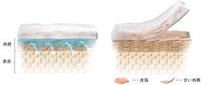 資生堂、宇宙環境用スキンケアを独自設計