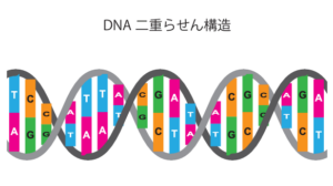 アミノアップ様