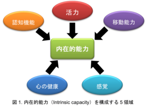 内在的能力の図