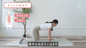 「おうちでピラティス」
