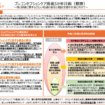 プレコンセプションケア推進5か年計画（概要
