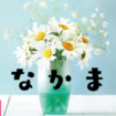 小学館「介護のなかま」がプロデュースするお花の定期便「お花のなかま」