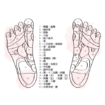 ワンドマユ（足裏の反射区図）